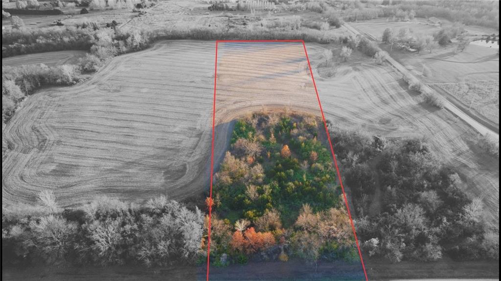 Listing Photo MLS #HMS2588032