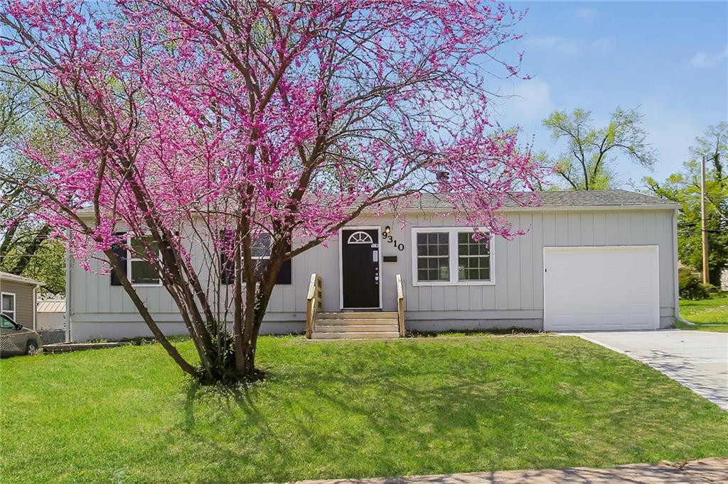 Listing Photo MLS #HMS2588243