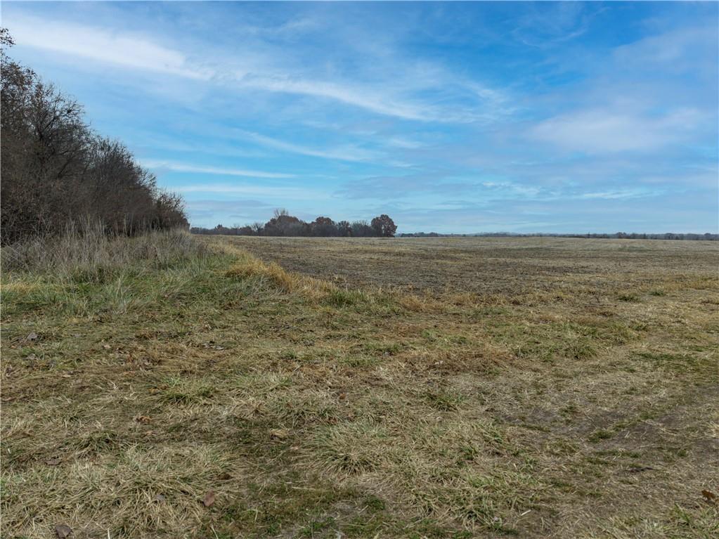 Listing Photo MLS #HMS2589122