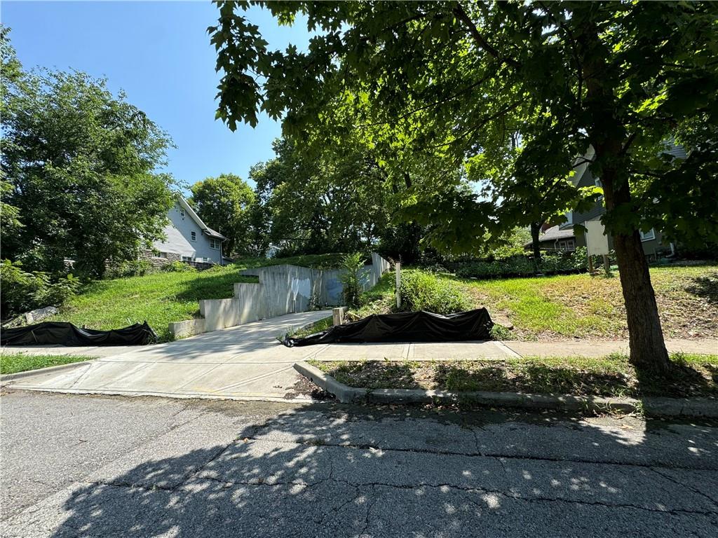 Listing Photo MLS #HMS2589343