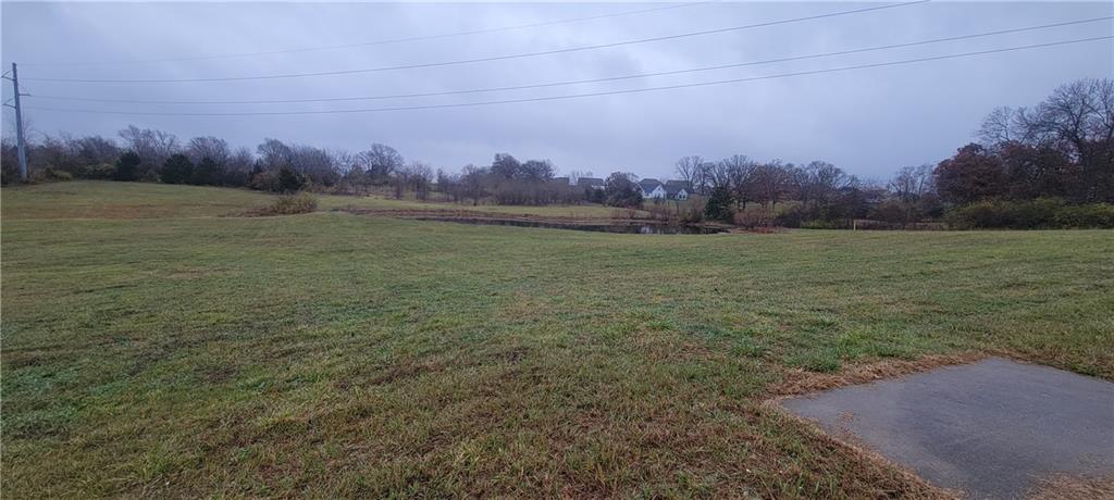 Listing Photo MLS #HMS2589684