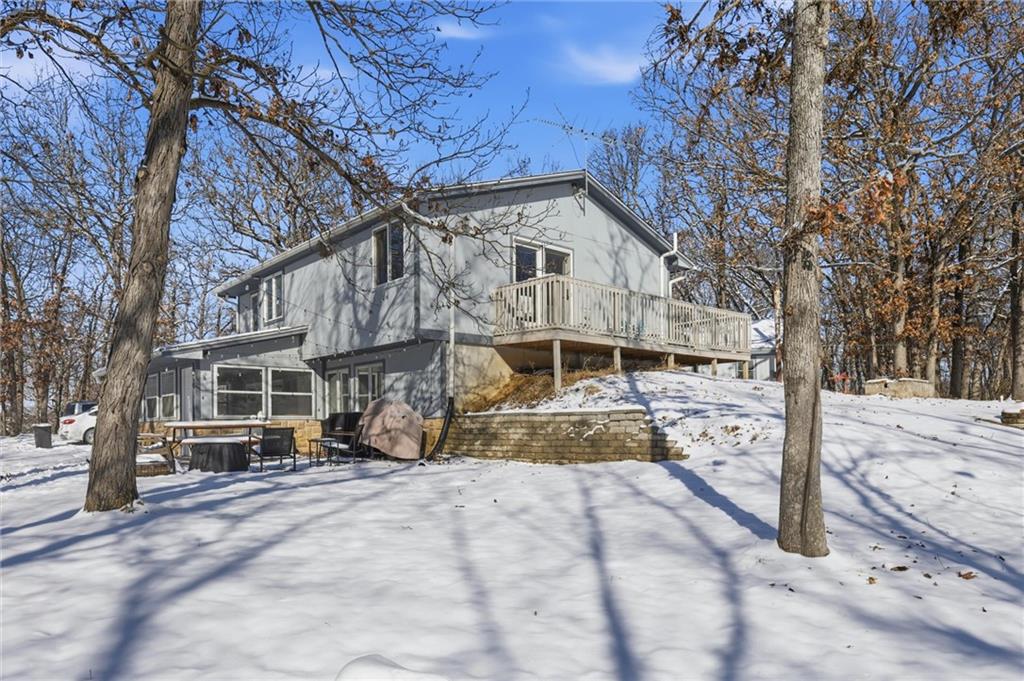 Listing Photo MLS #HMS2589935