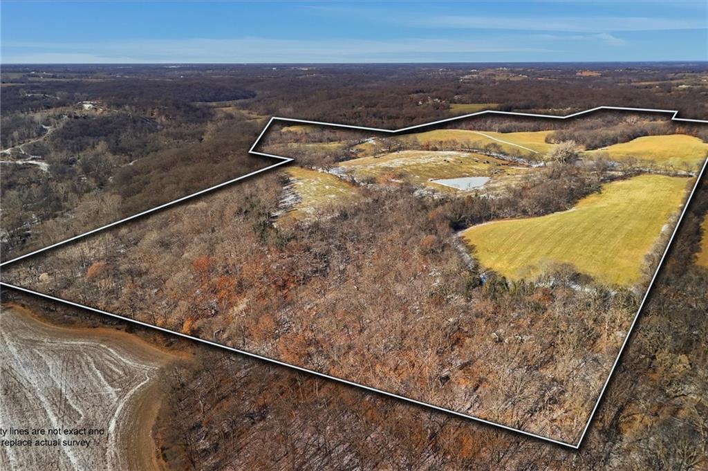 Listing Photo MLS #HMS2591630