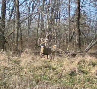 Listing Photo MLS #HMS2591764