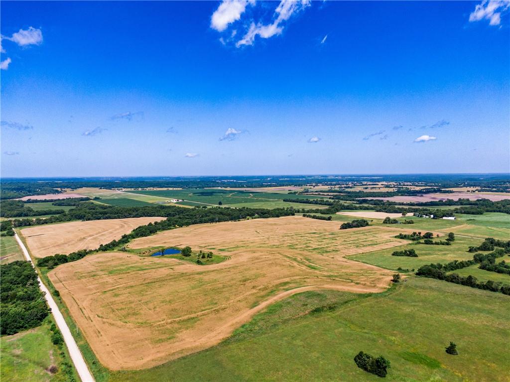 Listing Photo MLS #HMS2592305