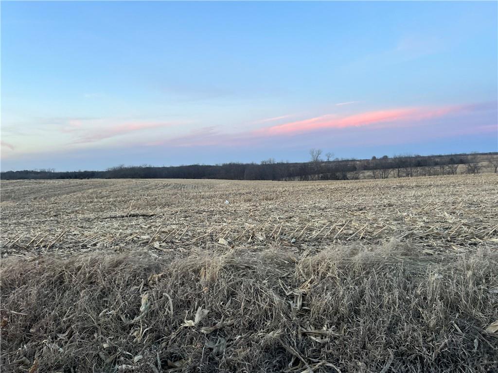 Listing Photo MLS #HMS2592719