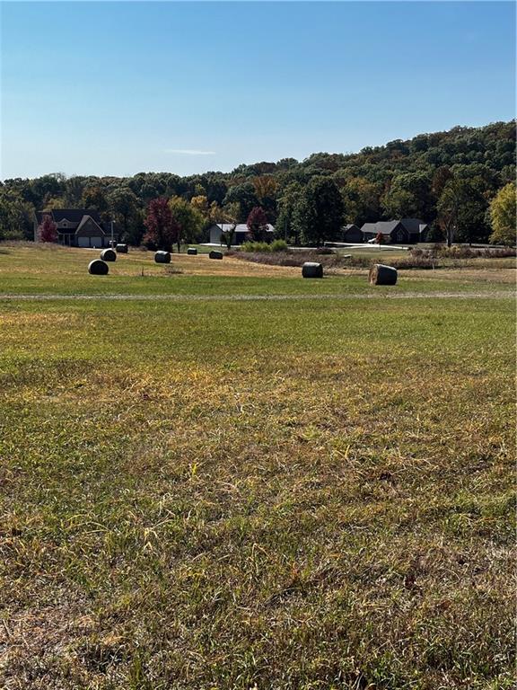 Listing Photo MLS #HMS2593209