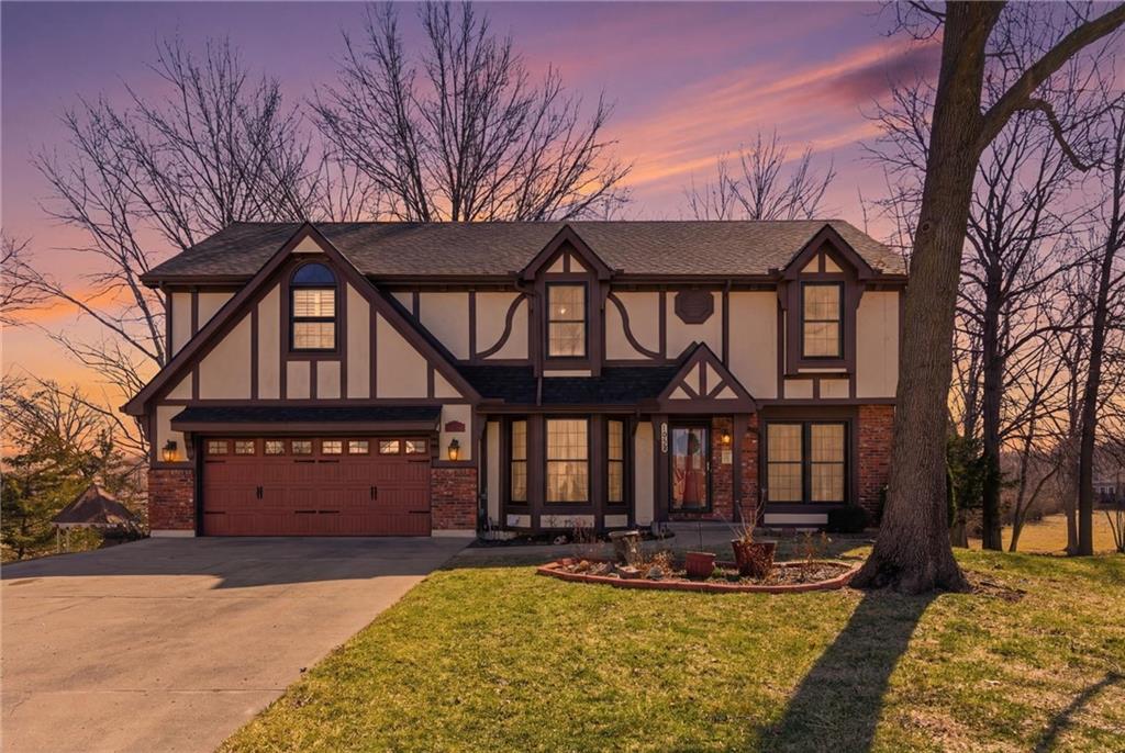 Listing Photo MLS #HMS2594696