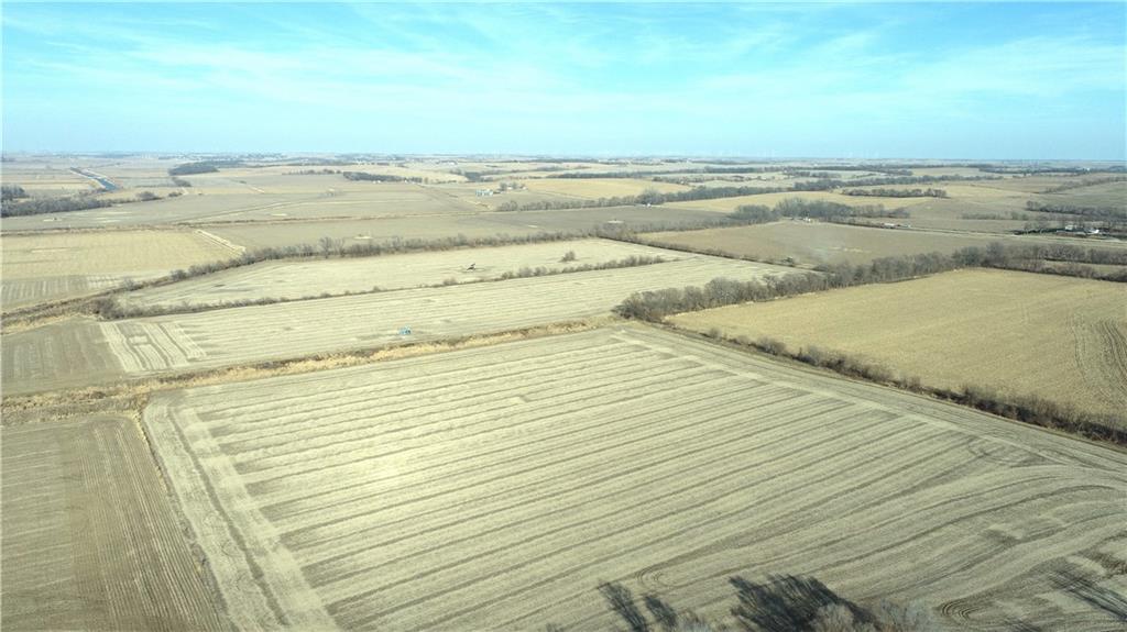 Listing Photo MLS #HMS2594982