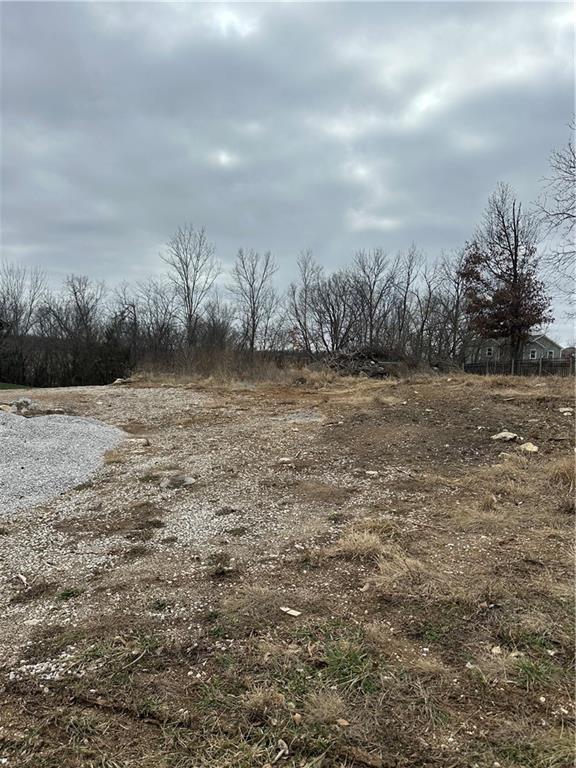 Listing Photo MLS #HMS2595459