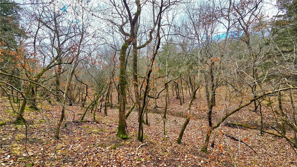 Listing Photo MLS #HMS2595609