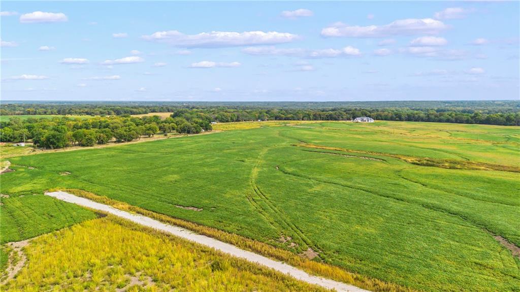 Listing Photo MLS #HMS2595789