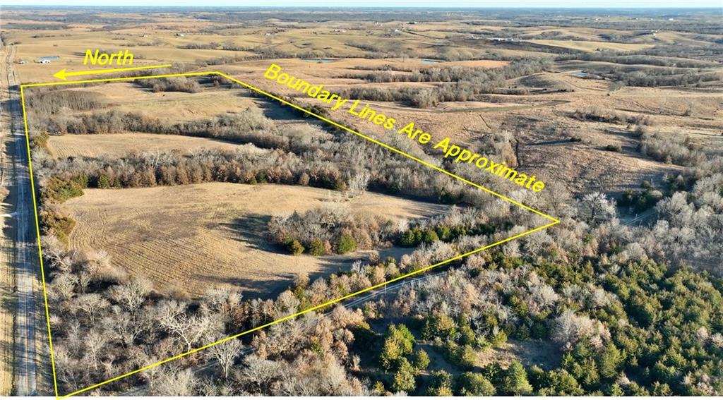 Listing Photo MLS #HMS2595957