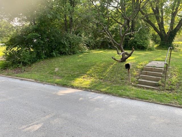 Listing Photo MLS #HMS2596327