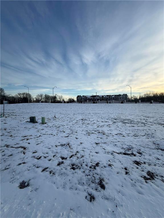 Listing Photo MLS #HMS2598311