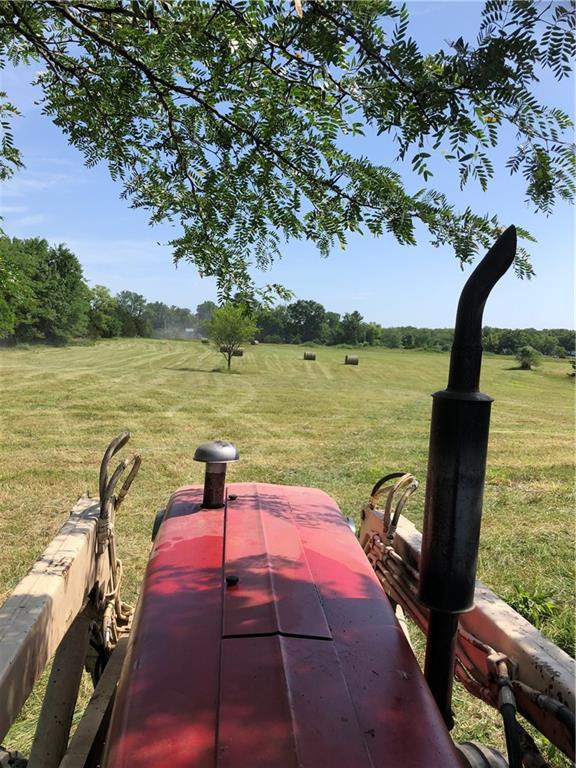 Listing Photo MLS #HMS2598956