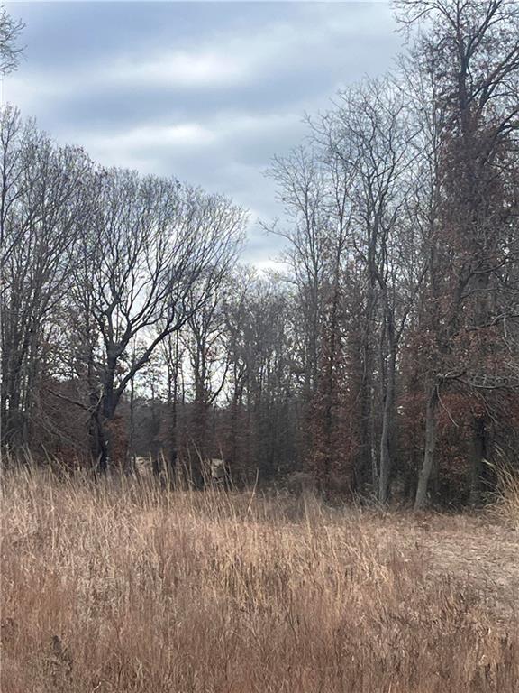 Listing Photo MLS #HMS2599140