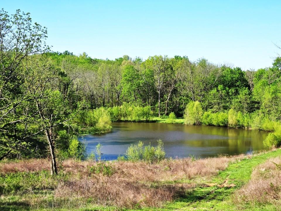 Listing Photo MLS #HMS2602602