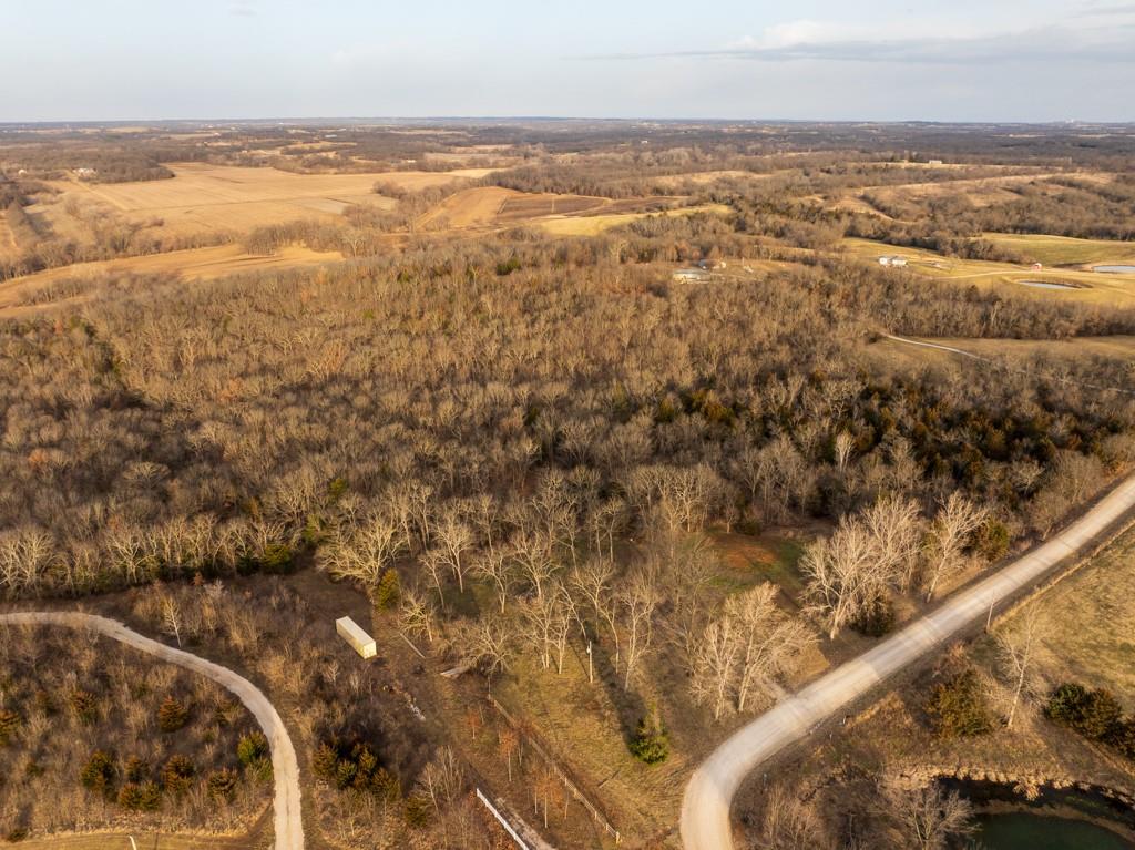 Listing Photo MLS #HMS2603911