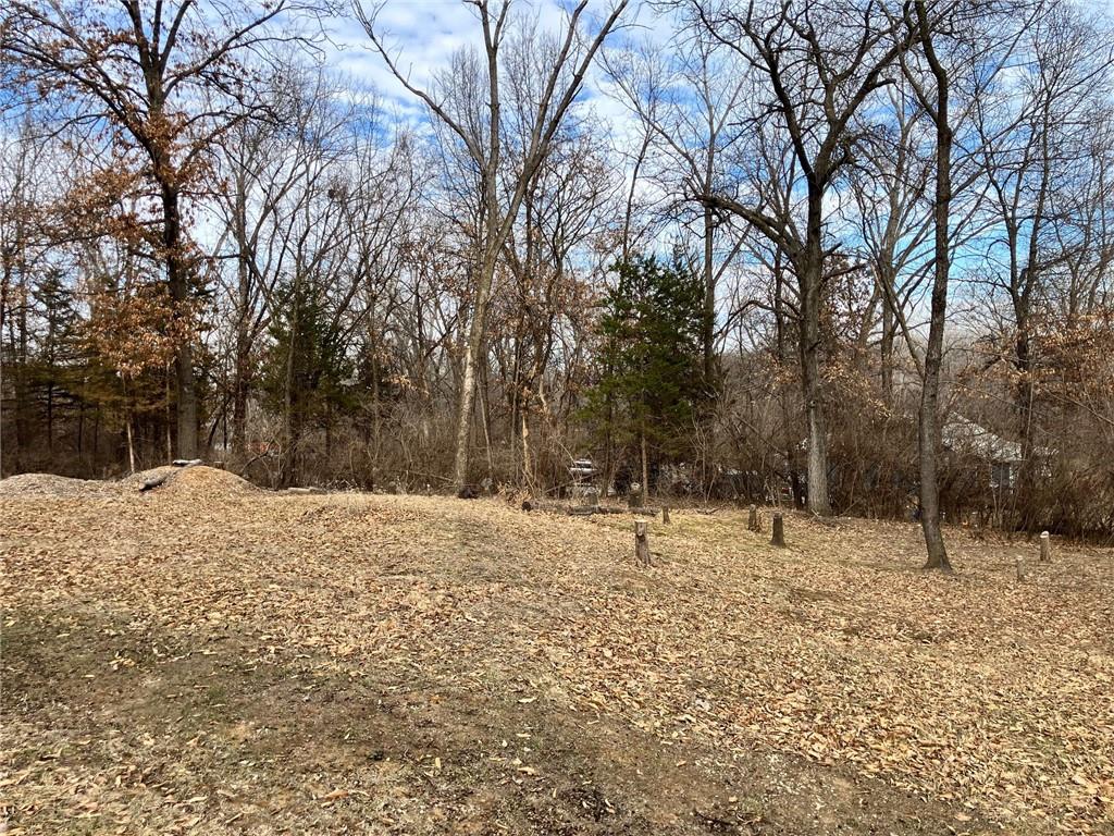 Listing Photo MLS #HMS2604107