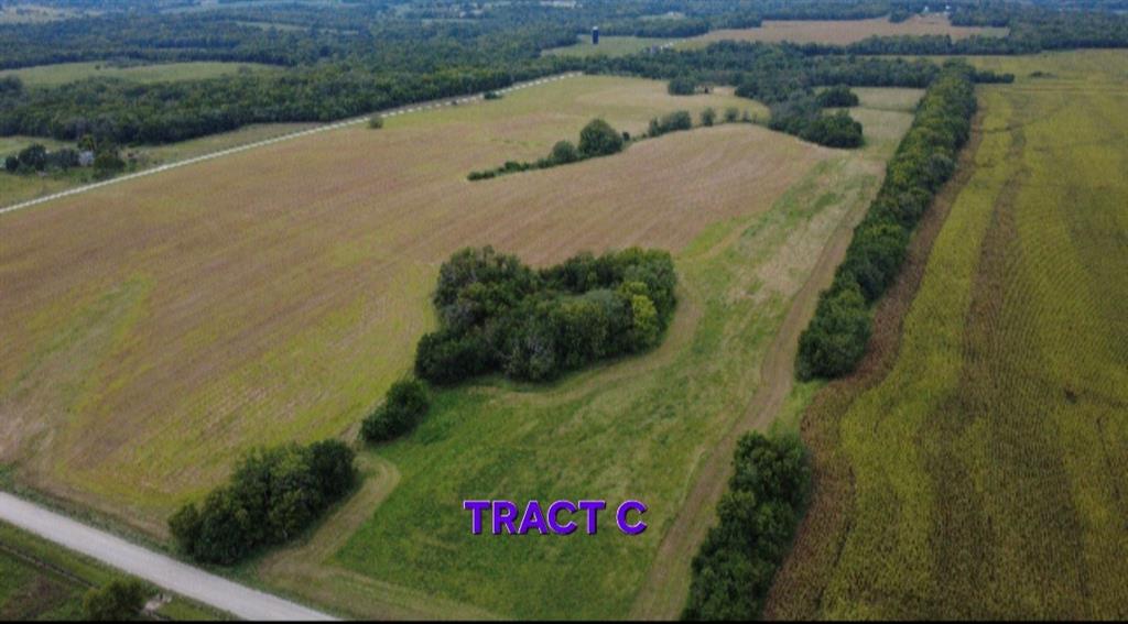 Listing Photo MLS #HMS2604902