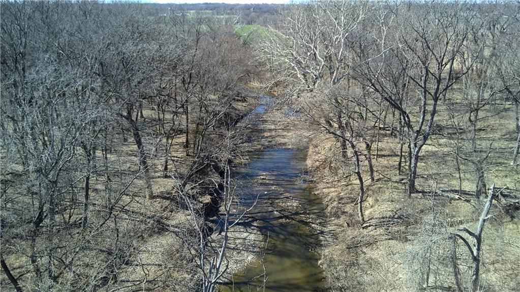 Listing Photo MLS #HMS2604916