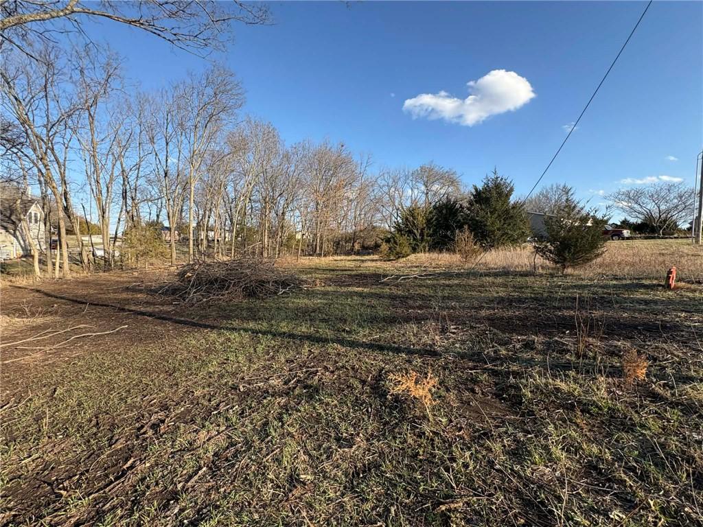 Listing Photo MLS #HMS2606533