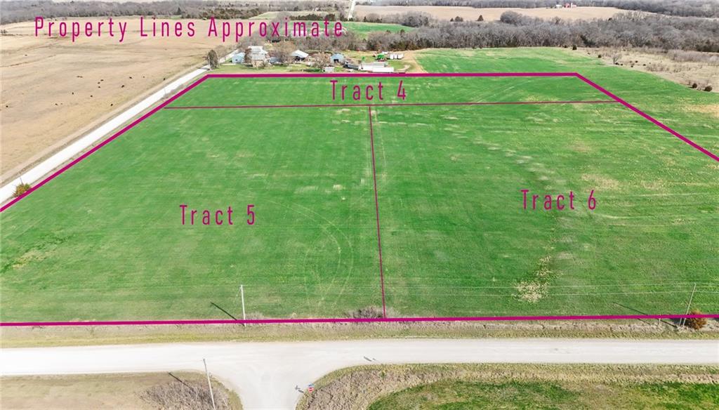 Listing Photo MLS #HMS2612306