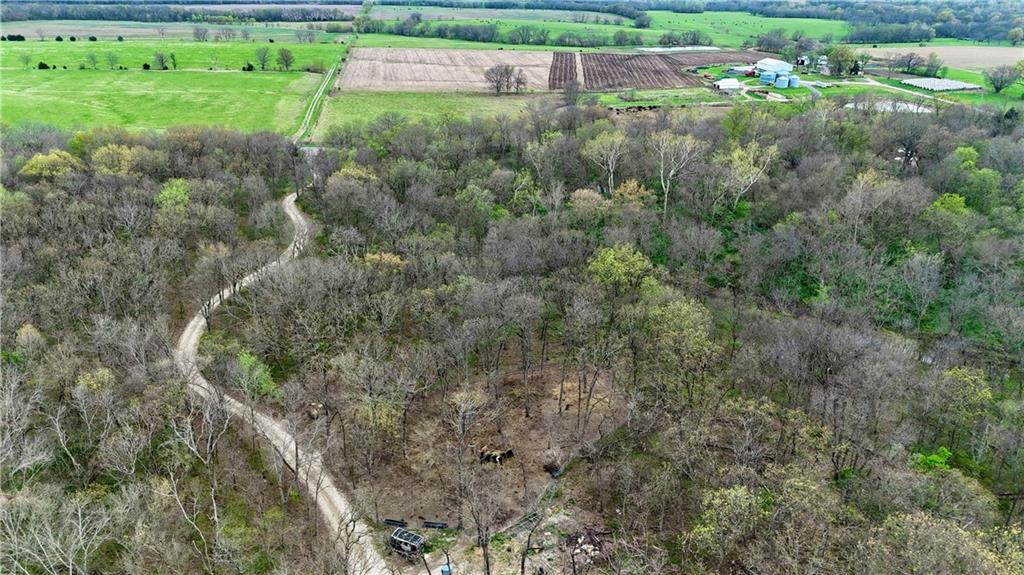 Listing Photo MLS #HMS2613629