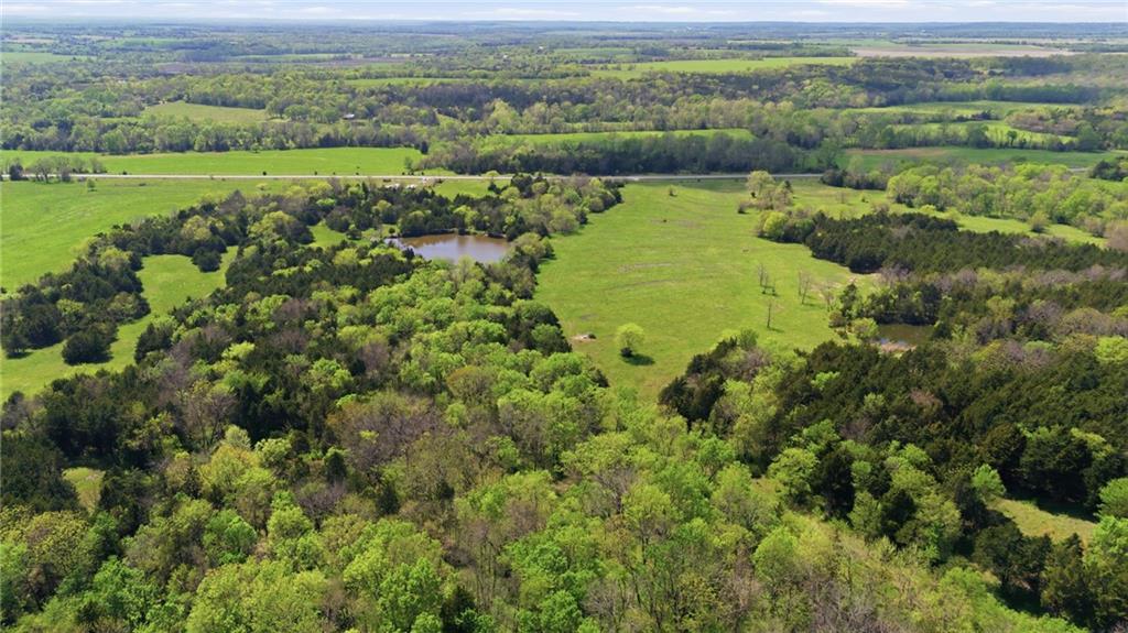 Listing Photo MLS #HMS2614936