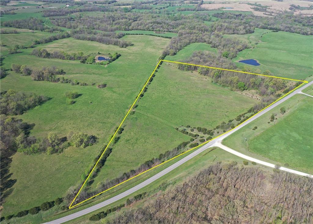 Listing Photo MLS #HMS2615689