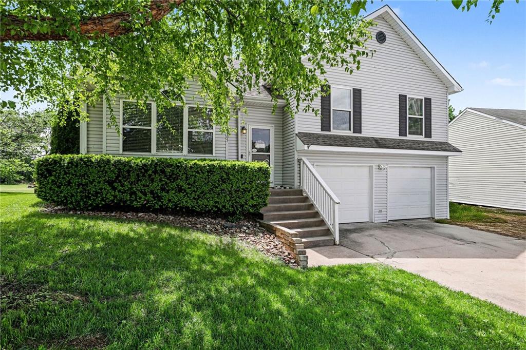 Listing Photo MLS #HMS2616731