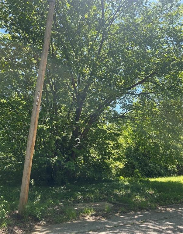 Listing Photo MLS #HMS2618167