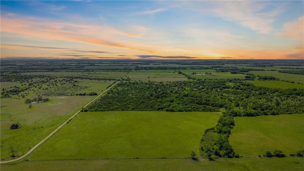 Listing Photo MLS #HMS2618923
