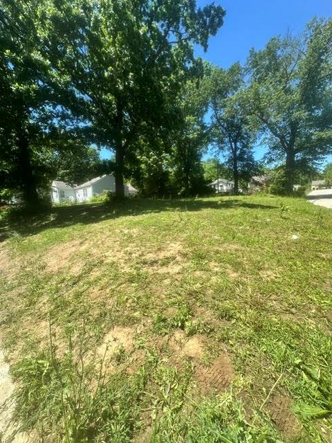 Listing Photo MLS #HMS2619422