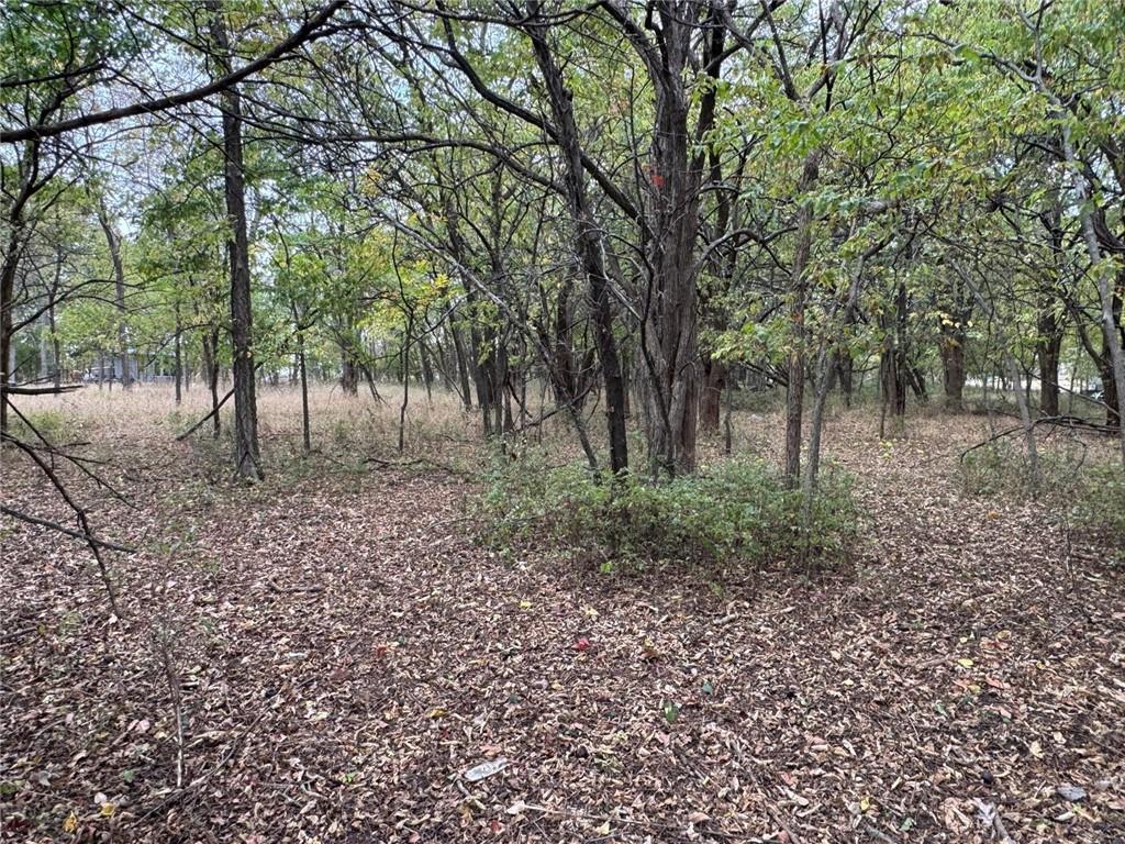 Listing Photo MLS #HMS2621862