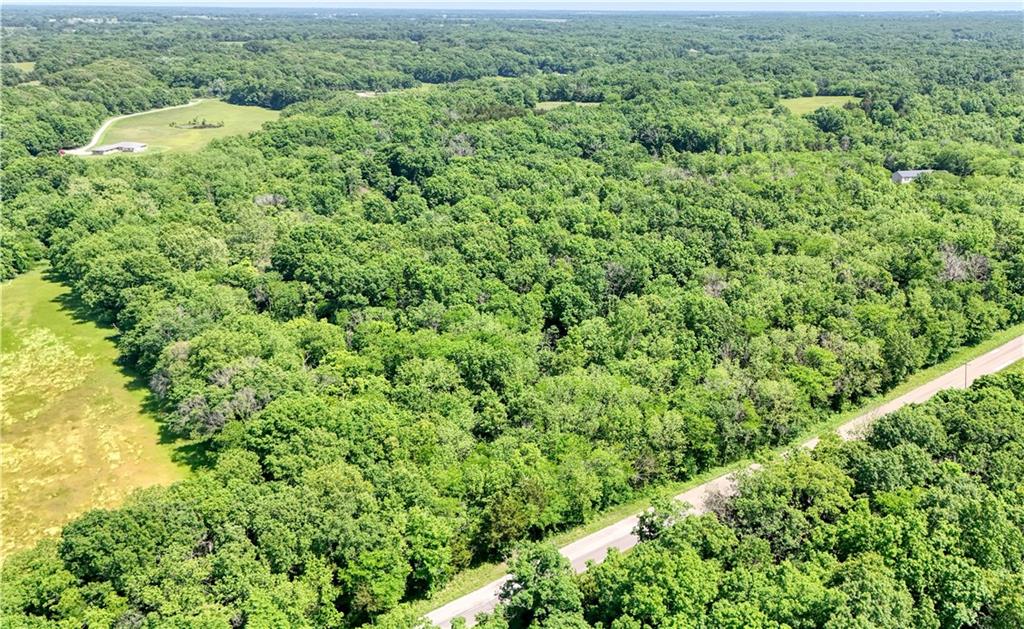 Listing Photo MLS #HMS2623074