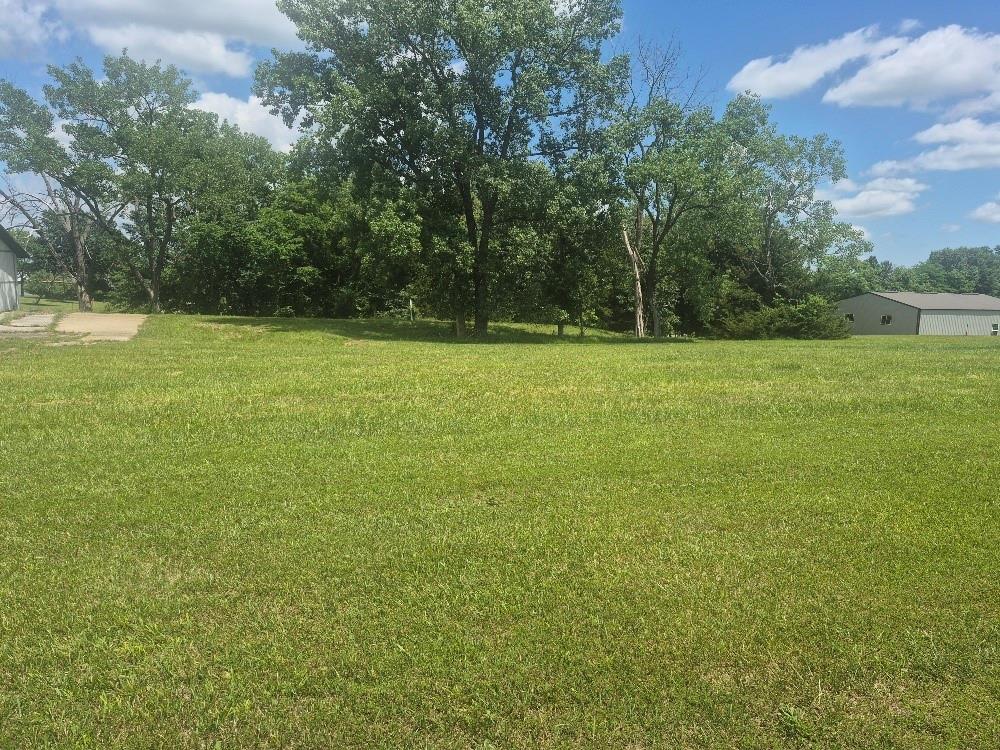 Listing Photo MLS #HMS2623445