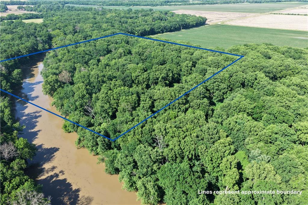 Listing Photo MLS #HMS2624182