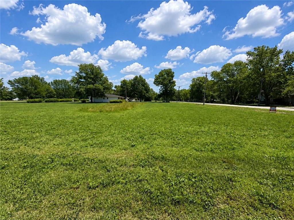Listing Photo MLS #HMS2624341