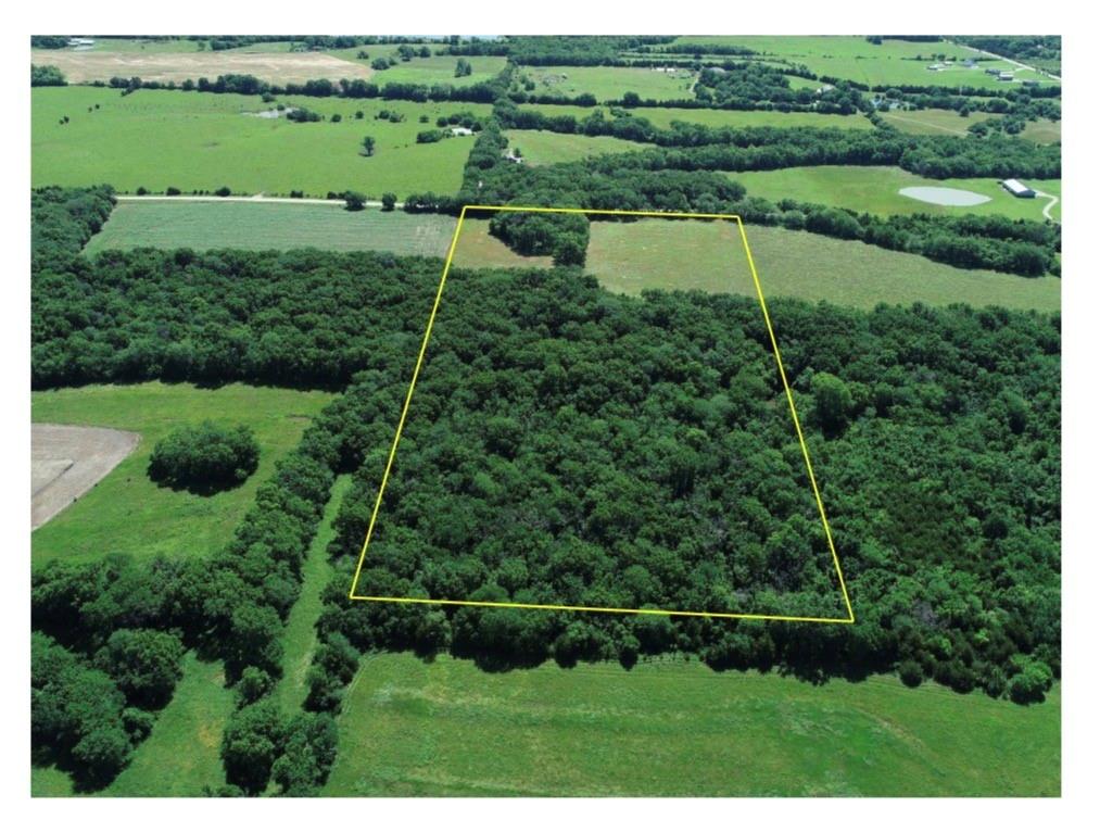 Listing Photo MLS #HMS2624896