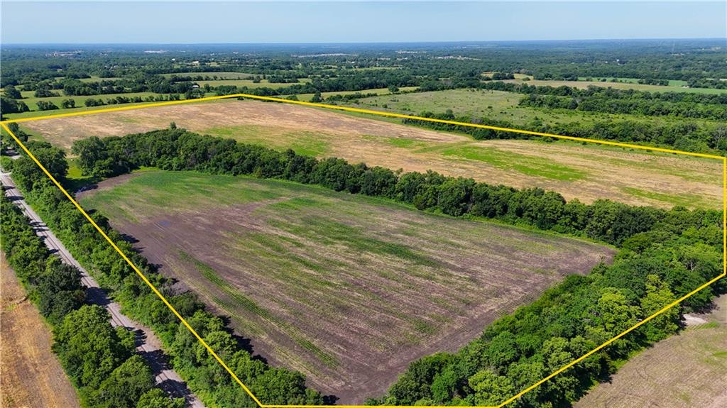 Listing Photo MLS #HMS2626088