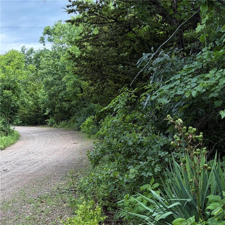 Listing Photo MLS #HMS2627159