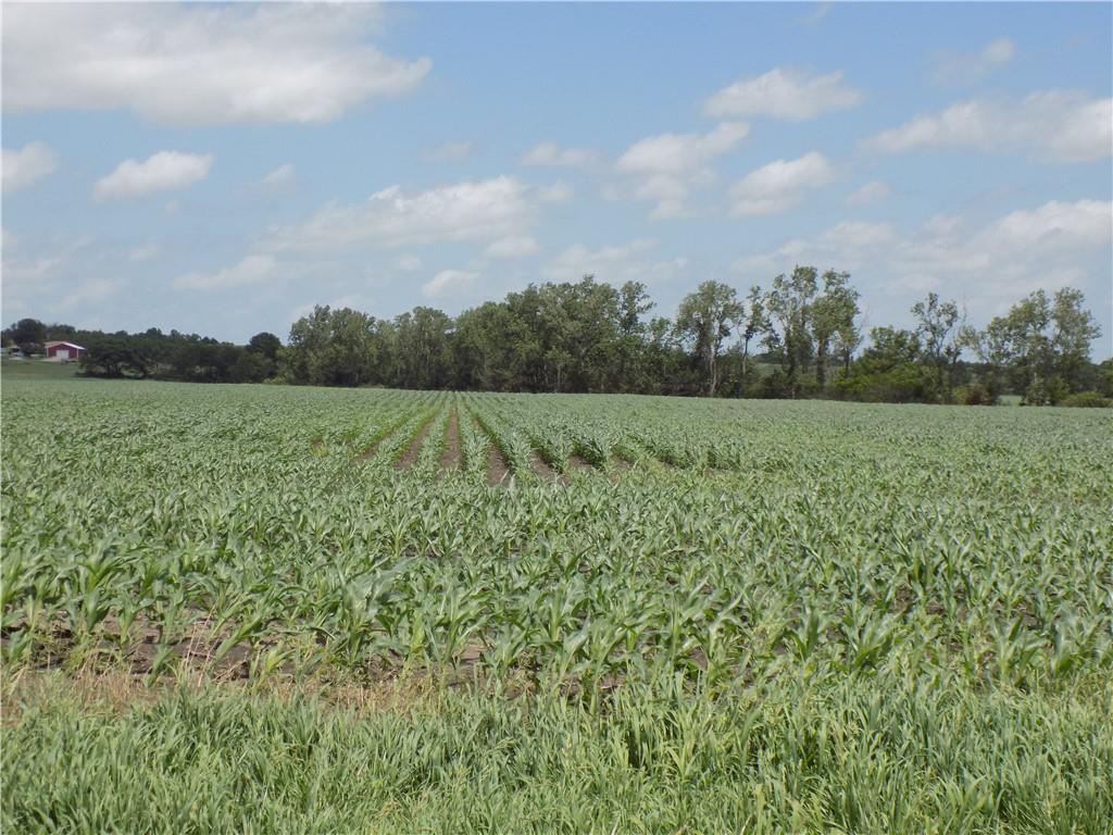 Listing Photo MLS #HMS2627662