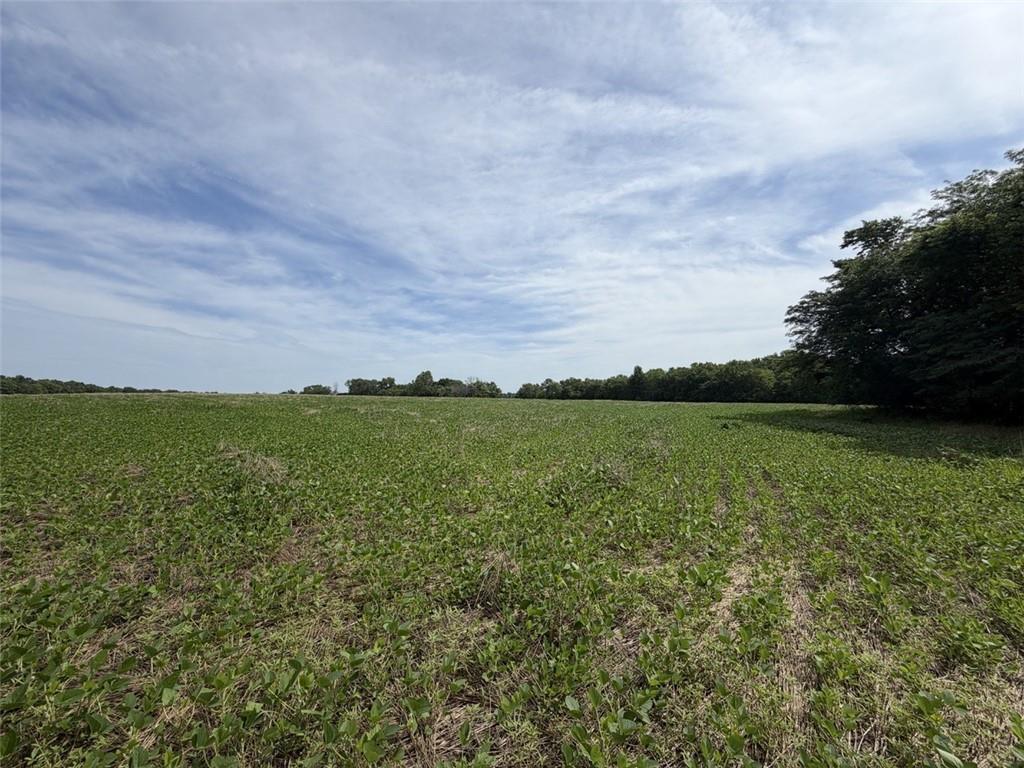 Listing Photo MLS #HMS2629833