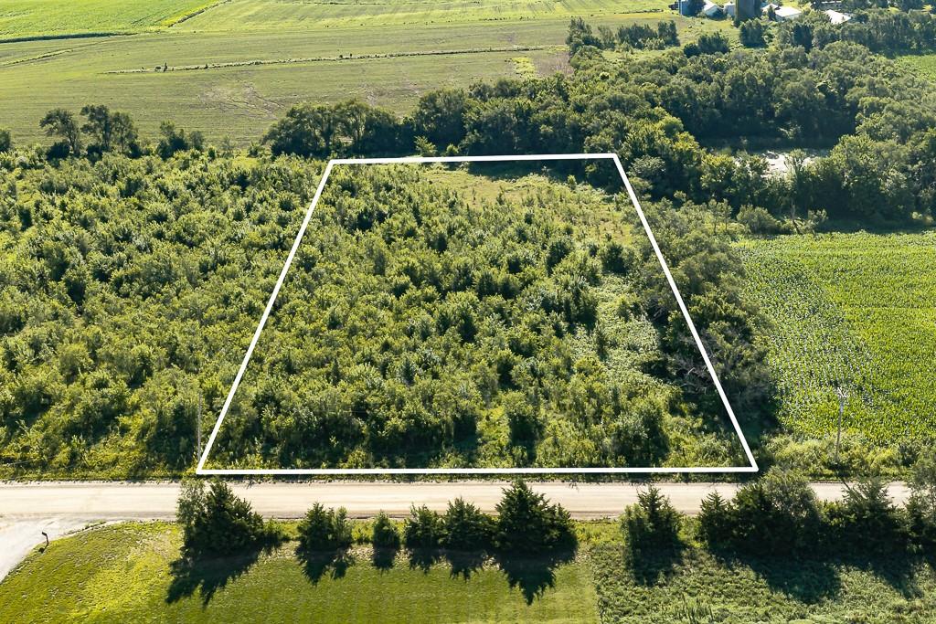 Listing Photo MLS #HMS2629878