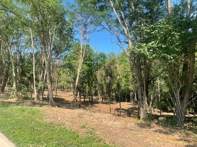 Listing Photo MLS #HMS2629952