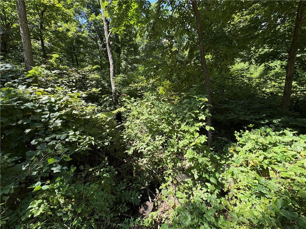 Listing Photo MLS #HMS2629984