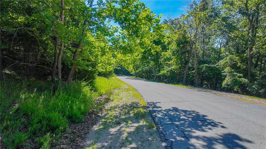 Listing Photo MLS #HMS2630254