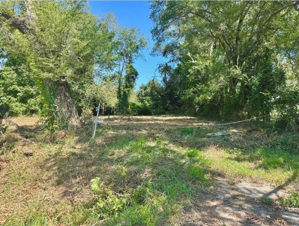 Listing Photo MLS #HMS2630258